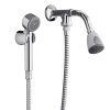 FV 0119 DUCHAMATIC DUCAH PARED